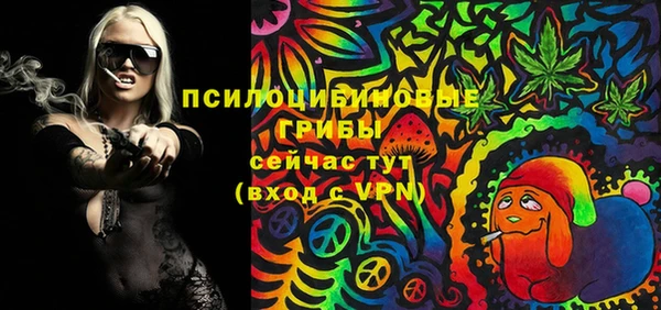 mdpv Ижевск