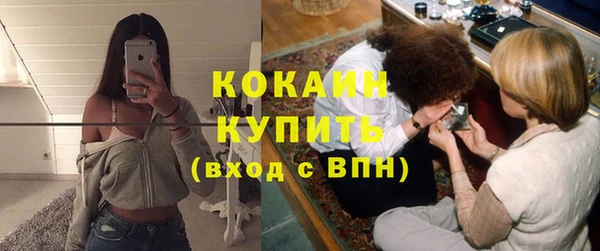 шишки Балабаново