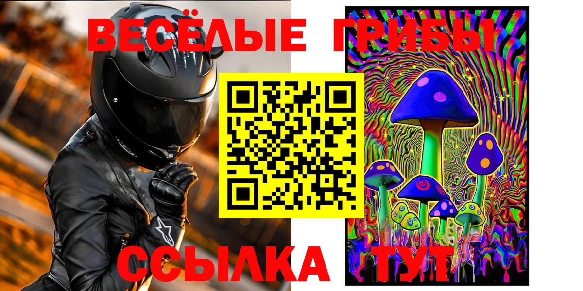 Псилоцибиновые грибы Psilocybe  купить  сайты  Белово 