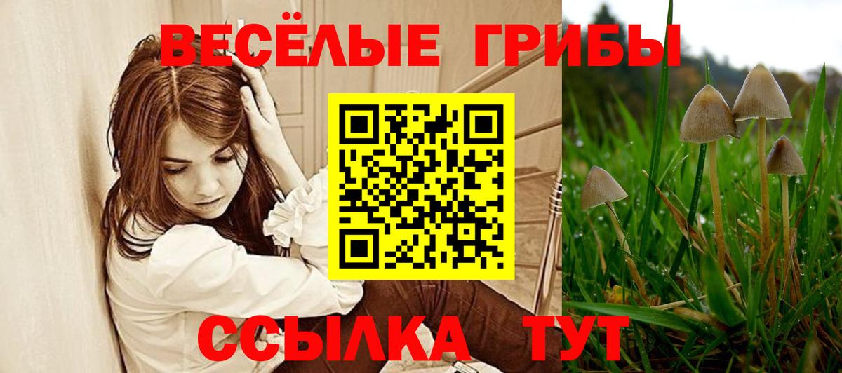 Псилоцибиновые грибы Cubensis  Галлюциногенные грибы мухоморы  Белово  Вход с VPN 