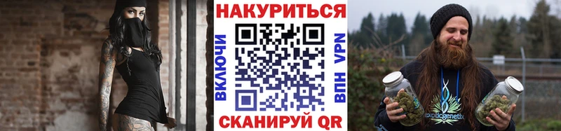 где продают   Белово  Каннабис сатива 